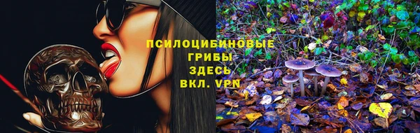 таблы Рославль