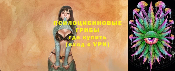 мет Абаза